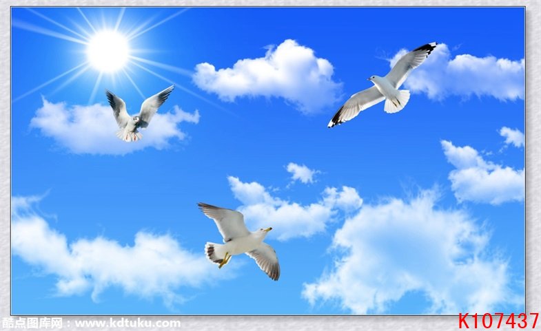 k107437-羰ư׸ӺŸ컨ǽڻ